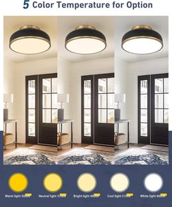 Phong Cách Cổ Điển Màu Đen Trắng Sắt Cơ Thể Hiện Đại Trang Trí 5cct Trần Trong Nhà Ánh Sáng Vòng Hình Dạng <span class=keywords><strong>LED</strong></span> Đèn Trần Cho Phòng Khách - Product Image 3