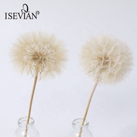 Décoration de mariage, grande herbe séchée naturelle, fleur de pissenlit géante blanche