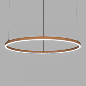 Lámpara colgante circular para interior, anillo de <span class=keywords><strong>luz</strong></span> colgante de perfil de aluminio ovalado, directa e <span class=keywords><strong>indirecta</strong></span>, 60x35cm, proveedor de China - Product Image 5