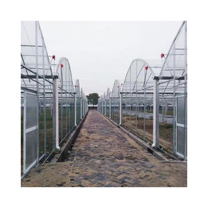 Serra in pellicola di plastica Multi-span su larga scala <span class=keywords><strong>per</strong></span> piante da fiore senza ombreggiatura - Product Image 4