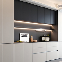 Système d'armoires de rangement murales sur mesure, style minimaliste moderne, avec éclairage LED intégré pour salon