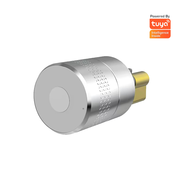 Wholesale Price Euro Digital Biometric Automatic Smart Door Lock Smart Cylinder Lock for Wood & Aluminum Doors