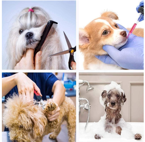 Correa de sujeción para mesa de peluquería canina - Extensor de brazo, correa de sujeción para baño, soporte para cadera (no para sentarse), sujetadores para perros para peluquería canina - Product Image 4