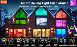 Lâmpada de luz inteligente rgb, app inteligente, luzes de teto, sem cintilação, controle de voz, 3000k-6000k cro390s