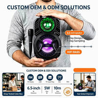 Haut-parleur Subwoofer Professionnel 6,5 Pouces Portable Sans Fil Audio Son Personnalisé Poignée Randonnée Extérieur Coque Robuste Usine