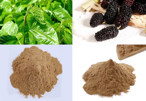 天然有機野生桑の葉ハーブエキス粉末 10:1 健康食品グレード 人工添加物・充填剤不使用 ドラム包装 - Product Image 4