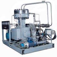 Compresor de Diafragma de Helio de 15KW a Precio Competitivo, Entrada Atmosférica, Descarga de 13 Bar, Flujo de 60Nm3/h, Máquina Industrial