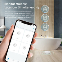 Détecteur de fuite d'eau Zigbee, capteur d'inondation, surveillance à distance via application, compatible Home Assistant