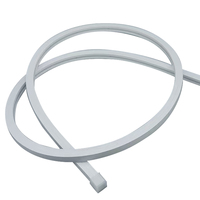 Tira LED neón silicona 12V/24V personalizable con tubo flexible