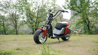 Scooter électrique Citycoco tout-terrain 2000W avec pneus larges, vélo électrique pour adultes avec cadre robuste et suspension réglable