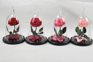 कांच के गुंबद में संरक्षित होमोरा गर्म बिक्री के लिए एक ग्रेड वास्तविक स्पर्श गुलाब वेलेंटाइन के दिन लड़की दोस्त के लिए कभी नहीं गुलाब - Product Image 5