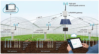 Capteur Intégré 7-en-1 pour Agriculture Intelligente : Surveillance en Ligne LoRa/LoRaWAN, Enregistreur de Données RS485 pour Humidité, Température, CE, Salinité et NPK du Sol