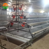 Un type 96/120/128/160 oiseaux cage de couche de poulet équipement automatisé d'alimentation des animaux pour les poules pondeuses