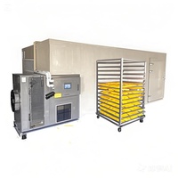 Hallo River Brand Hoge Kwaliteit Industriële Fruit & Groente Droogmachine Mango Droger Voedsel Dehydrator Apparatuur PLC CE