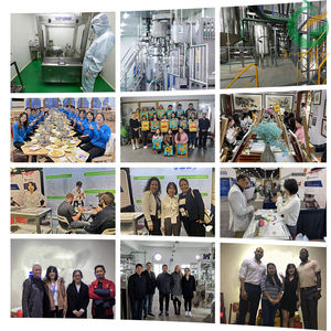 Galacto-oligosacáridos de grado alimenticio, Galacto, Galacto, en polvo - Product Image 6