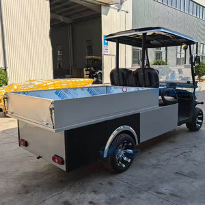 Offre Spéciale : Voiturettes de Golf Électriques 2 Places pour Sites Touristiques – Vente Directe Usine à Prix Abordable - Product Image 4