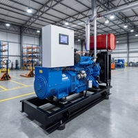 Générateur diesel à châssis ouvert haute efficacité, tension nominale 380 V, 20 kW, 30 kW, 40 kW, 50 kW, pour usage industriel
