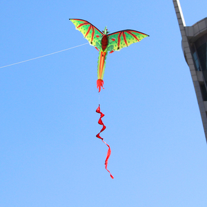 Nouvelle arrivée 3D <span class=keywords><strong>de</strong></span> haute qualité <span class=keywords><strong>Dragon</strong></span> Kite Toys - Product Image 4