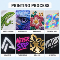 Camiseta de Algodón Lisa Personalizable al por Mayor, de Alta Calidad, Estilo Casual Básico, Corte Regular, Ropa Urbana, 300 Gramos, Ecológica