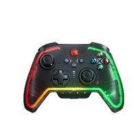 Control de Videojuegos con Vibración Dual con Cable BIGBIG WON Rainbow 2 Pro (Combo) para PC