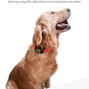 Kerah Anjing Peliharaan Non Litium Massal Ponsel Mini 2G 4G 5G Lte Tracker Cat-m1 Pelacakan Gps Pribadi