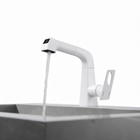 Robinet de lavabo extractible numérique en laiton, personnalisable multicolore, avec affichage numérique, eau chaude et froide, pour salle de bain et hôtel