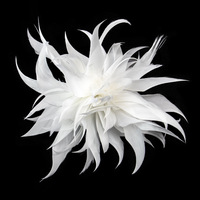 Gros Plume Corsage Tête Fleur Vêtements Coiffe Broche Plume D'oie Quill Fleur DIY