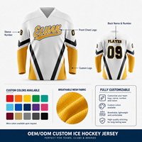 Maillot de hockey sur glace brodé sur mesure pour les équipes de club adultes et jeunes, compétitions d'équipes et utilisation en match, commandes en gros et en lot pour les équipes