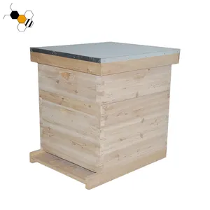 De Madera nuevo Dadant abeja colmena dadant colmena caja para la venta