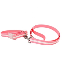Collier pour chien en nylon réfléchissant personnalisé en gros, motif imprimé avec boucle en métal et décoration en ruban