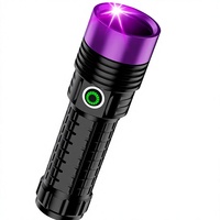 Lampe torche UV rechargeable haute puissance en alliage d'aluminium Ruibao à lumière violette pour la détection de jade, pierres précieuses, tabac, alcool et la détection de la teigne féline