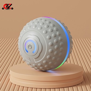 CZFIT Nueva Pelota de Juego Totalmente Automática, Pelota Deportiva para Mascotas que Ayuda a Reducir el Peso, Pelota Deportiva Recargable de Alta Calidad Personalizable - Product Image 3