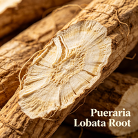 Racine de Kudzu (Pueraria Lobata) – Matière première végétale pour la préparation de boissons, aliments solides, desserts – Extrait naturel