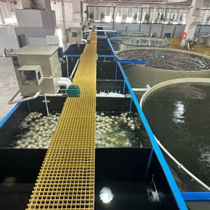 Système complet tout-en-un pour l'aquaculture de poissons et de crevettes Fermé Ecumeur de protéines Filtre à tambour d'eau salée - Product Image 2