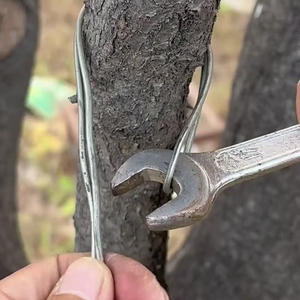 Suministro Directo de Fábrica: Fabricantes de Alambre, Alambre de Acero Galvanizado de 2mm en Bobina, Servicio de Corte para Líneas de Producción de Alambre de Acero - Product Image 4