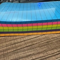 Planificador Diario, Bloc de Notas Adhesivas Multicolor, Paquete Promocional OEM, Blocs de Notas Económicos, Hojas Desprendibles