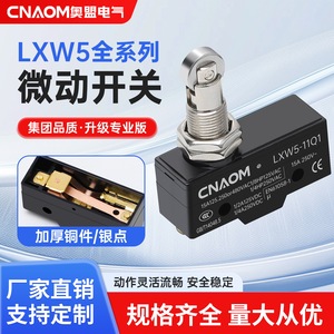 Micro-interrupteur à rouleau CNAOM LXW5-11Q1 15A 250VAC SPDT avec bornes à vis, boîtier ABS - Product Image 4