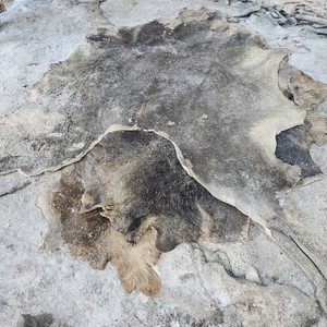 Peaux de vache et de buffle salées à double face de qualité supérieure pour la tannerie du cuir, la fabrication de bagages et de chaussures, exportées du Vietnam - Product Image 1