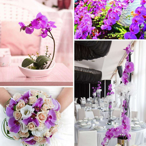 Pétalos de Orquídea Artificiales Premium, Juego de 50 Piezas de Pétalos de Flores de Seda Ultra Realistas en Color Morado con Amarillo para Decoración Elegante de Eventos - Product Image 4