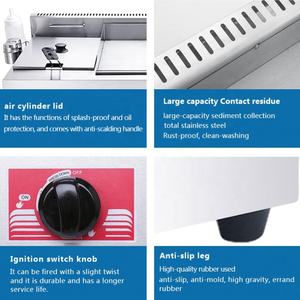 Piastra Commerciale con Friggitrice, Griglia a Gas in Acciaio Inox con Piastra Piatta e Friggitrice - Product Image 6