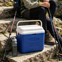 Glacière portable 6L pour extérieur, camping, pique-nique, voyage, stockage alimentaire