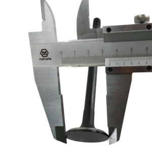 <span class=keywords><strong>4d94</strong></span> इंजन वाल्व 6136-41-4110 6136-41-4210 कोमात्सु इंजन भागों के लिए उपयुक्त - Product Image 6