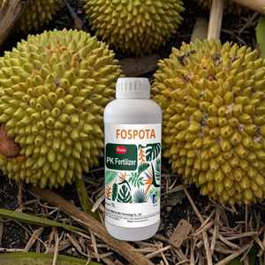 Hochreiner Organischer Phosphor-Kalium Flüssigdünger PH 8-9 Schnellfreisetzend <span class=keywords><strong>Rosia</strong></span> Marke Speziell Entwickelt zur Durian-Ertragssteigerung - Product Image 6