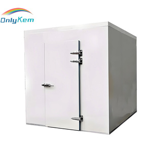 Cella Frigorifera Walk-in 10x8x8FT con Unità Monoblocco, Stanza Refrigerata per Carne di Pollo - Product Image 1