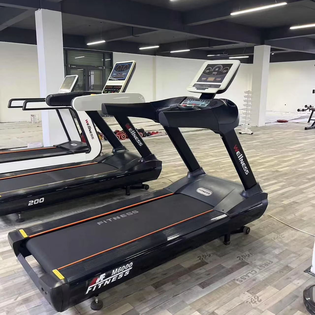 Professional Cardio Fitness Equipment Max Use Weight 300KG M6000