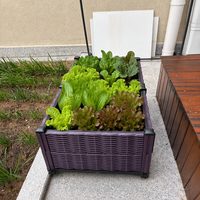 Jardinière rectangulaire en plastique imitation rotin PP, lit de jardin surélevé en osier tressé marron, léger, avec roulettes, trous de drainage et système d'arrosage automatique