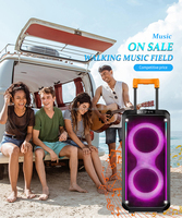 DR-8830 Nouveau Dual 8 Pouces RGB Light Trolley Haut-parleurs Guitar Amp Bass Combo Speaker For Street Performance