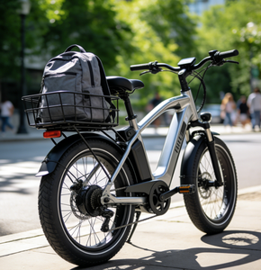 ANGYANG B60 Zhejiang Hot Selling <span class=keywords><strong>20</strong></span> inch elektrische fiets met één wiel, borstelloze naafmotor 1000W 250-600 RPM - Product Image 6