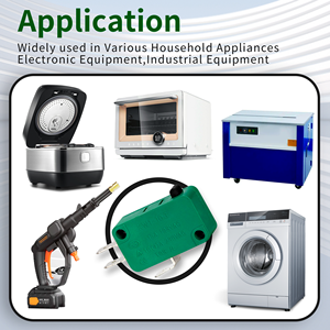 50GF ~ 400GF中型微型开关16A 250伏微型限位开关2针3针微型按钮开关，带可定制杠杆 - Product Image 6