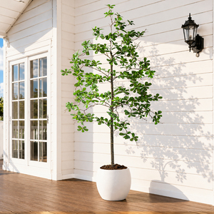 Albero di Ulivo Artificiale Nero Alto 2,10 m, Finto in Plastica, Effetto Ombreggiato, in Vaso, Ecologico e Durevole, per Casa e Compleanni - Product Image 6